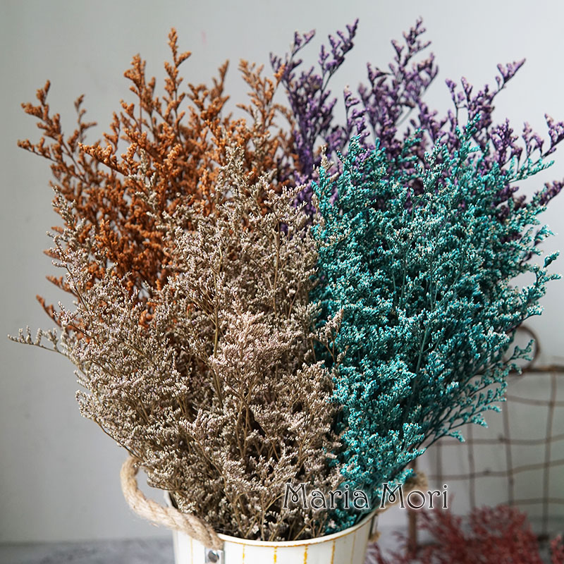 Eucalyptus Preserved - 50g/Preserved Valentine's Grass Limonium Flower Lover