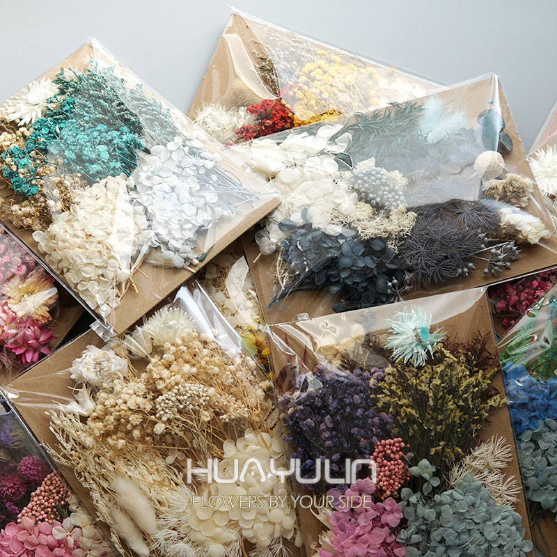 Eucalyptus Preserved - 1 Pack Artificial Plants Dried Real