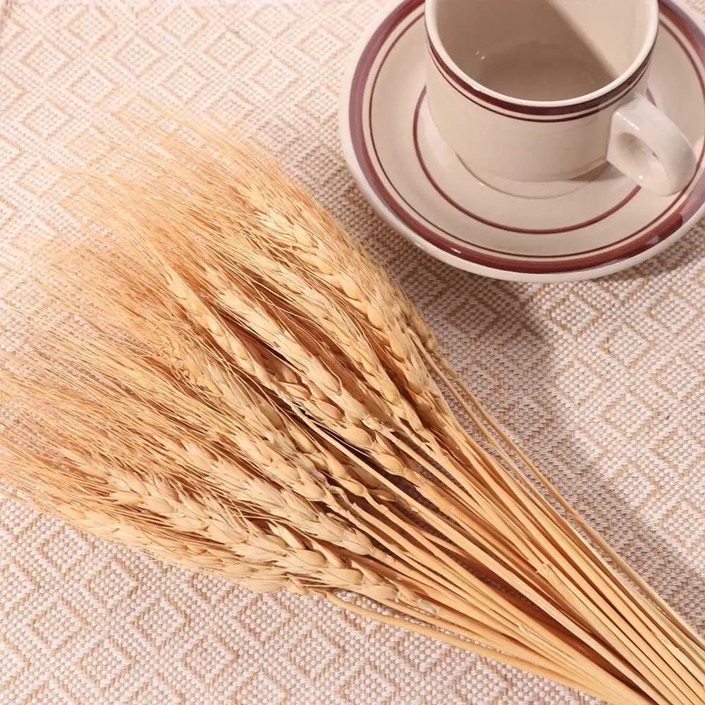 50pcs Artificial Flower Natura - Eucalyptus Preserved review and price