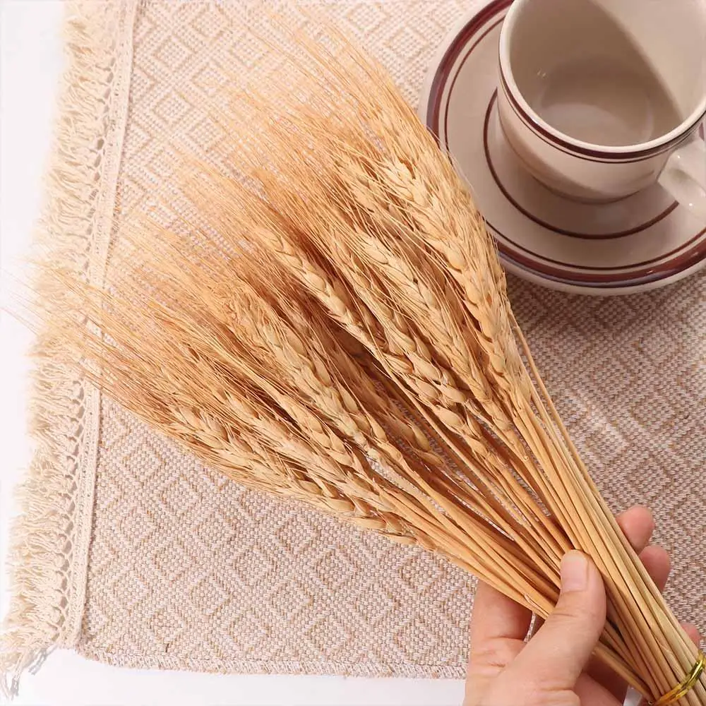 50pcs Artificial Flower Natura - Eucalyptus Preserved review and price