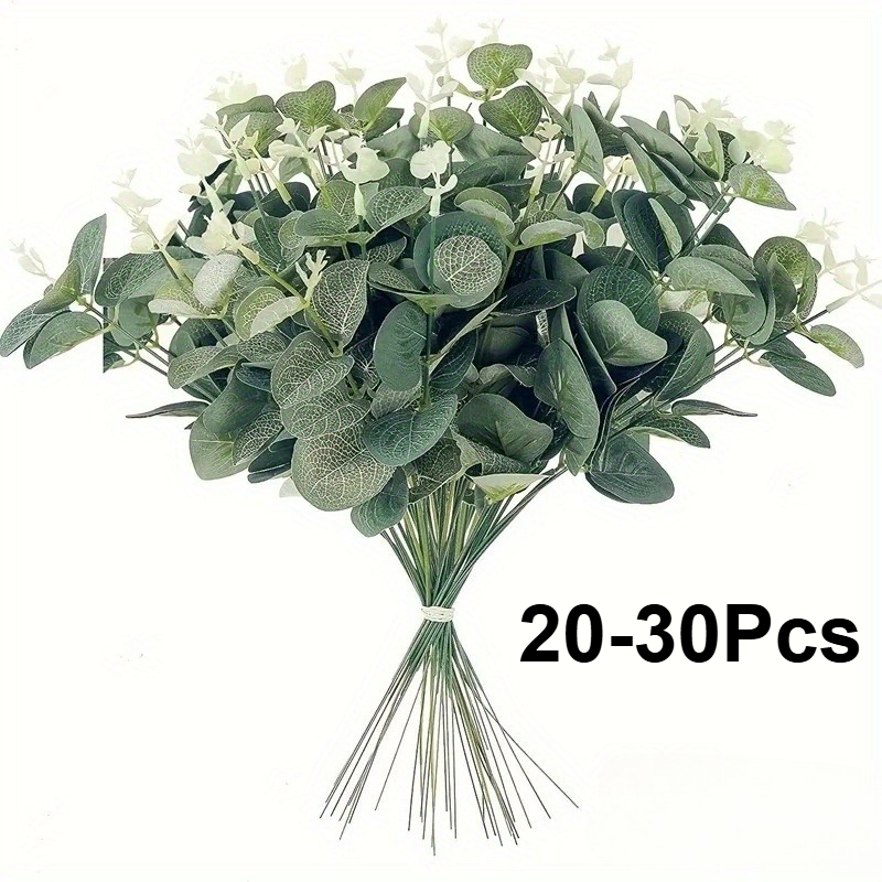 20 or 30pcs Eucalyptus Leaf St - Eucalyptus Preserved review and price