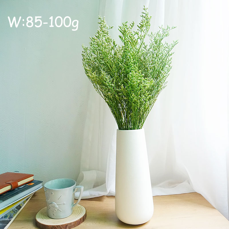 50g/Preserved Valentine's Gras - Eucalyptus Preserved review and price