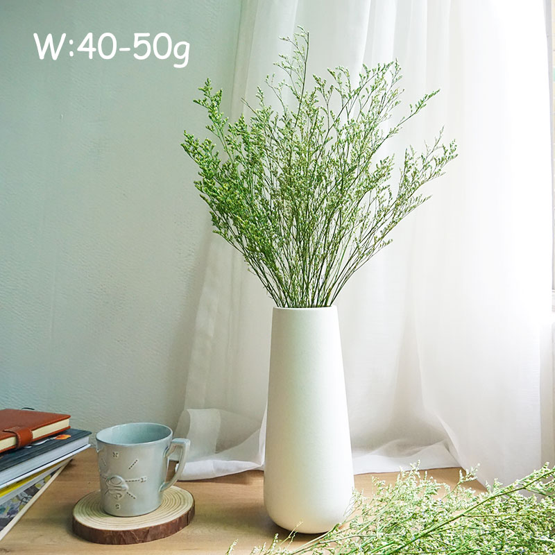 50g/Preserved Valentine's Gras - Eucalyptus Preserved review and price