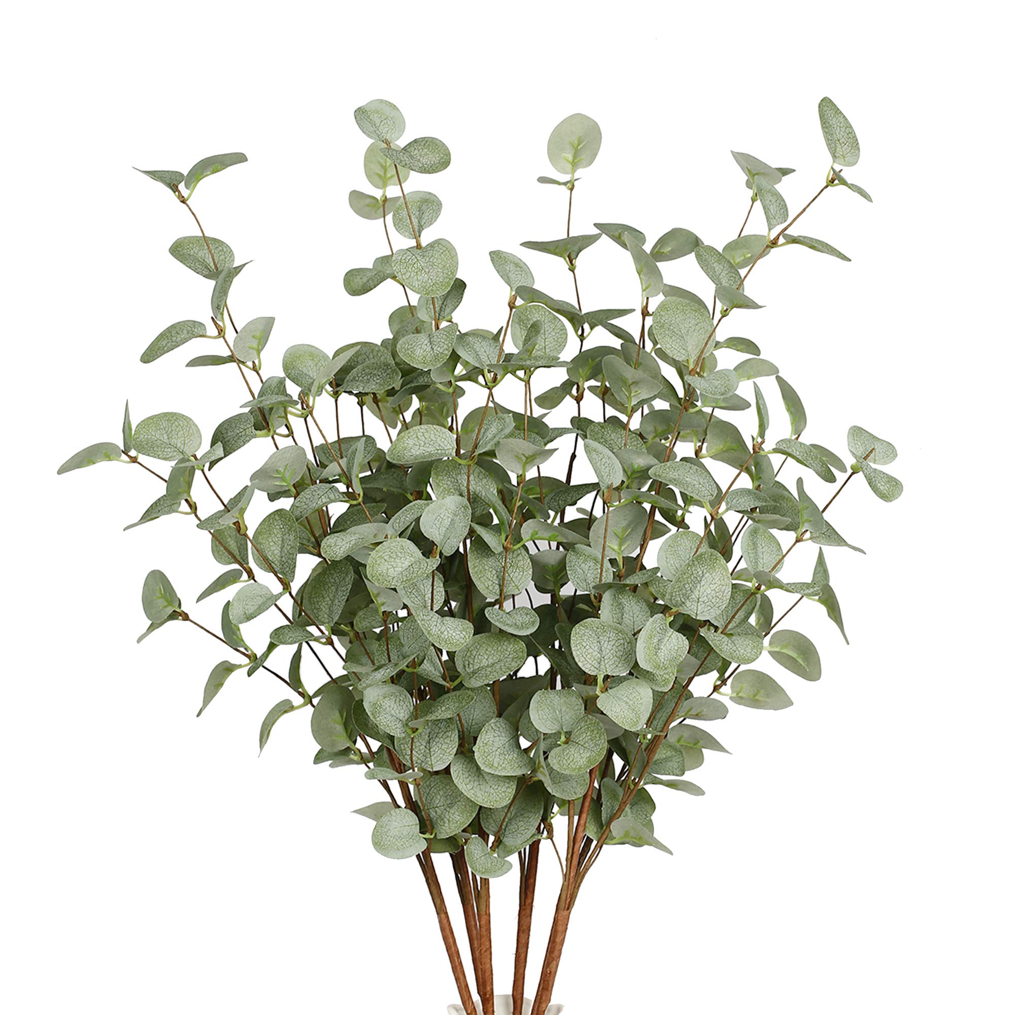 Faux Eucalyptus Stems Artifici - Eucalyptus Preserved review and price