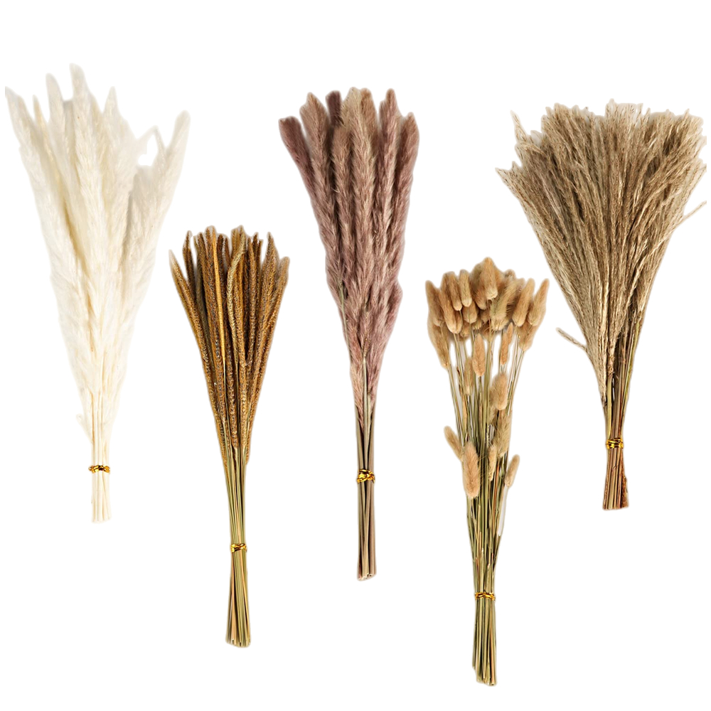 Autumn Vintage Mixed Dried Flo - Eucalyptus Preserved review and price