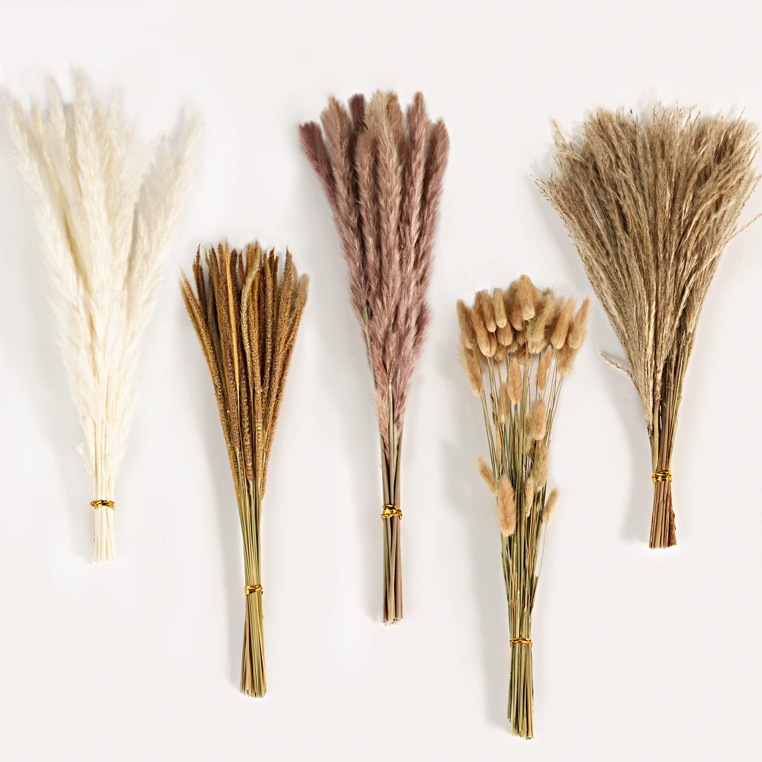 Autumn Vintage Mixed Dried Flo - Eucalyptus Preserved review and price