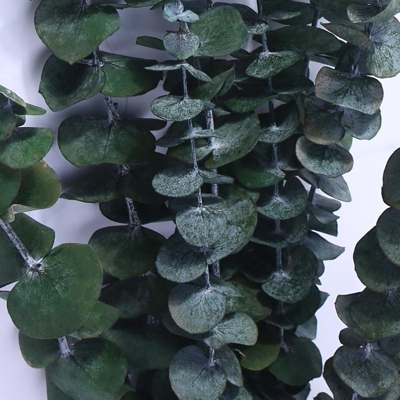 20Pcs Preserved for Fresh Euca - Eucalyptus Preserved review and price