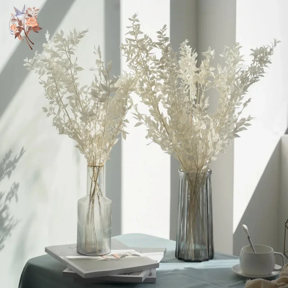50g Artificial Dried Flower Ru - Eucalyptus Preserved review and price