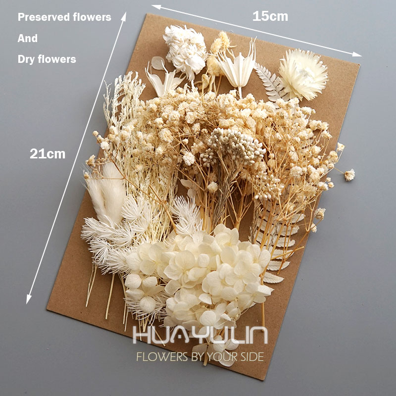 1 Pack Artificial Plants Dried - Eucalyptus Preserved review and price