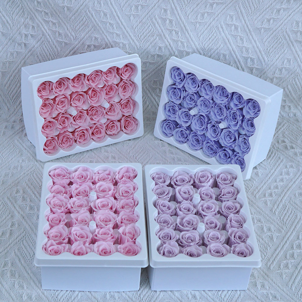 24pcs 1-2cm Rose Heads Preserv - Eucalyptus Preserved review and price