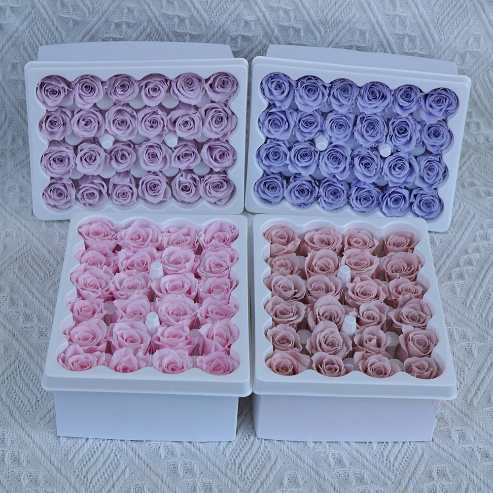24pcs 1-2cm Rose Heads Preserv - Eucalyptus Preserved review and price